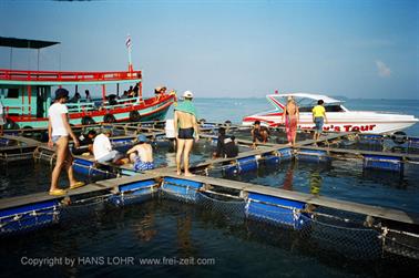 Excursion from Koh Samed, 2003_1252_25A_478